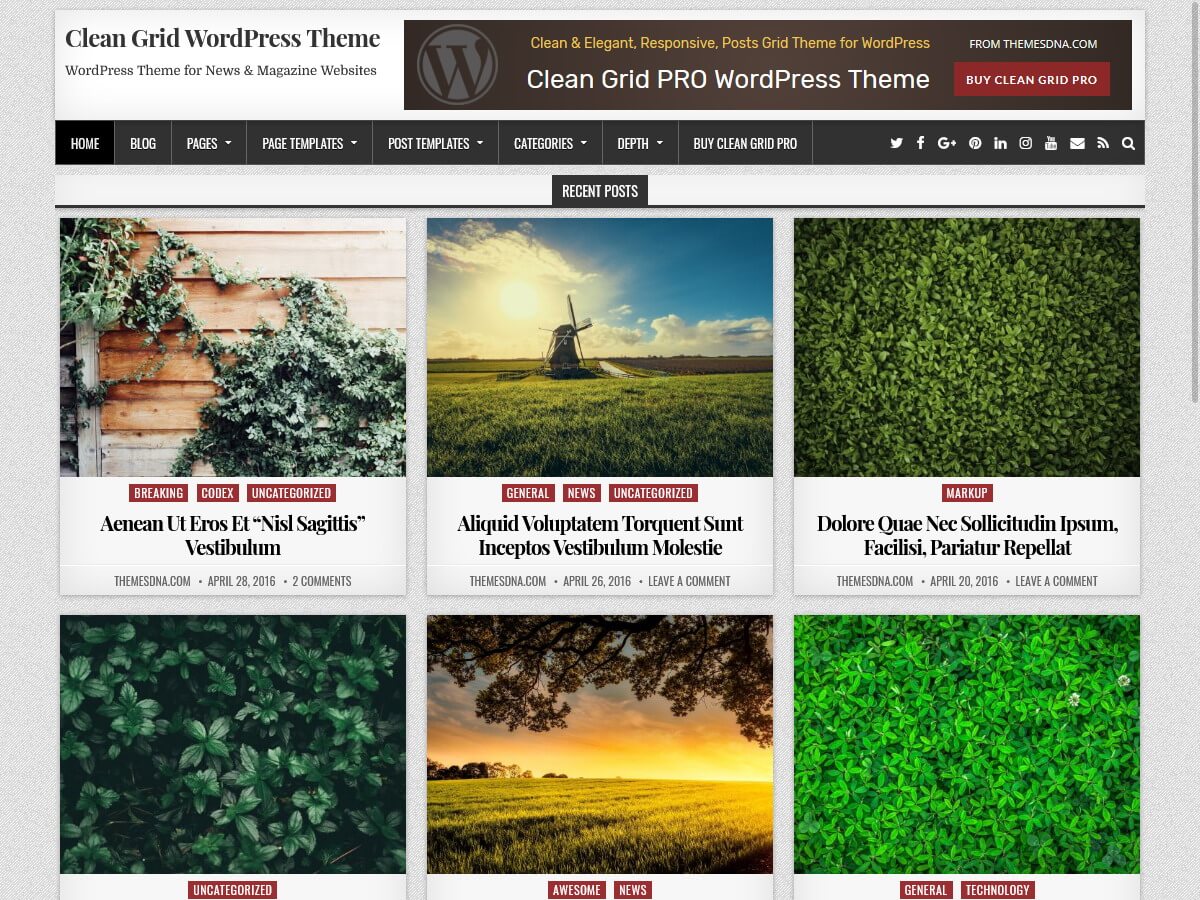 Clean Grid WordPress Theme - Free Version