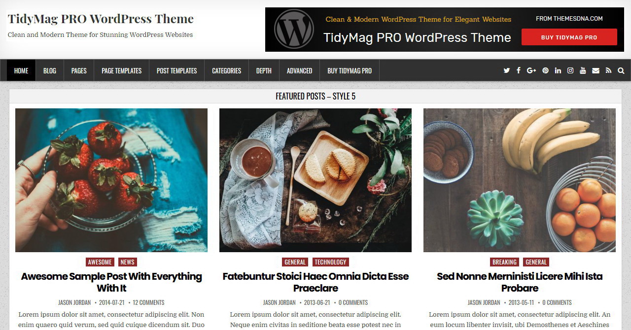 TidyMag PRO WordPress Theme - ThemesDNA.com