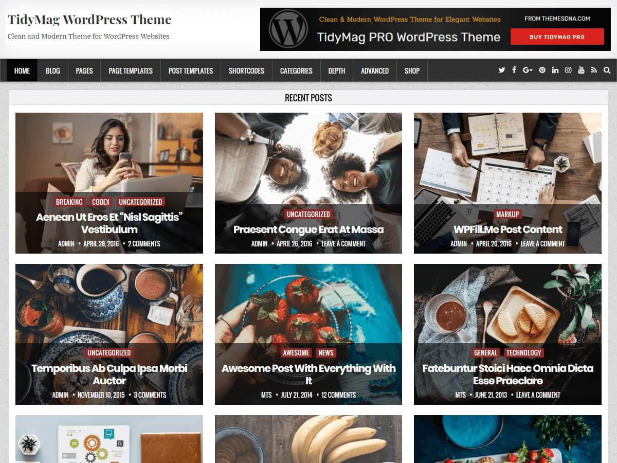 TidyMag WordPress Theme - Free Version