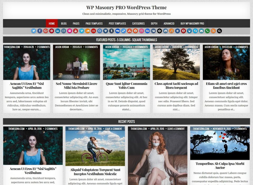 WP Masonry PRO WordPress Theme