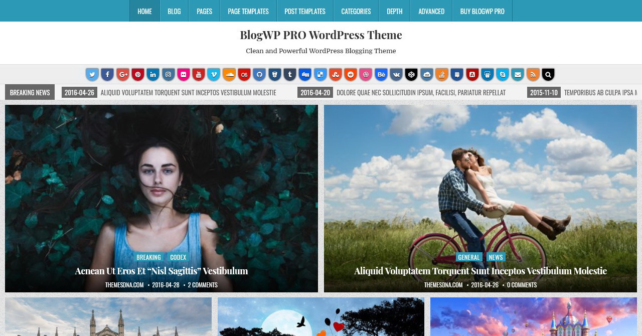BlogWP PRO WordPress Theme - ThemesDNA.com
