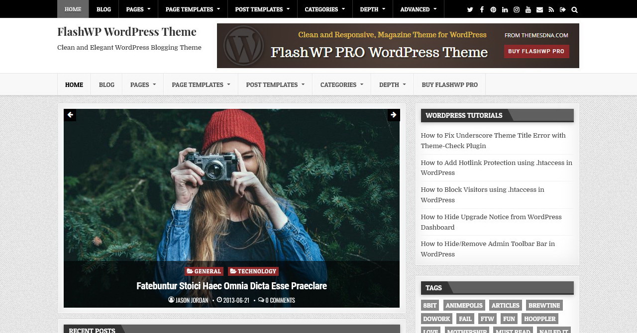 Flashwp Wordpress Theme Themesdna Com