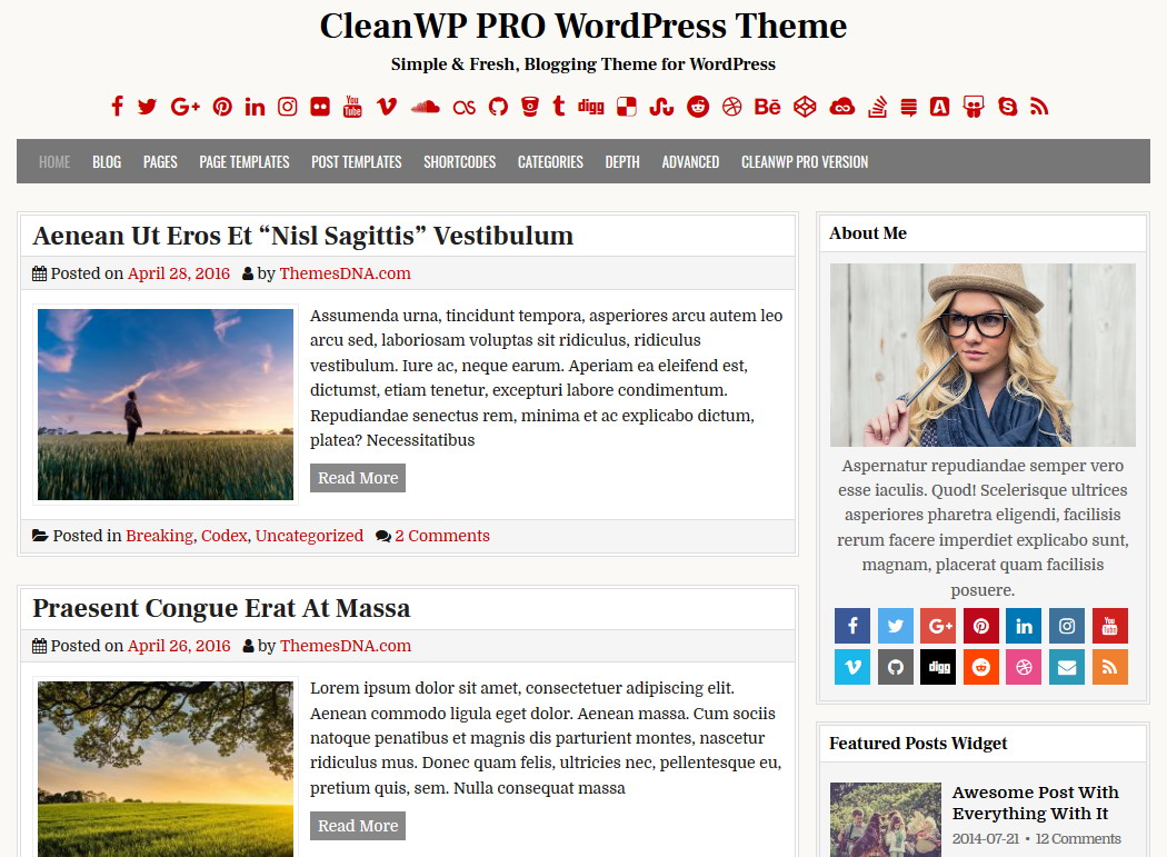 CleanWP PRO WordPress Theme