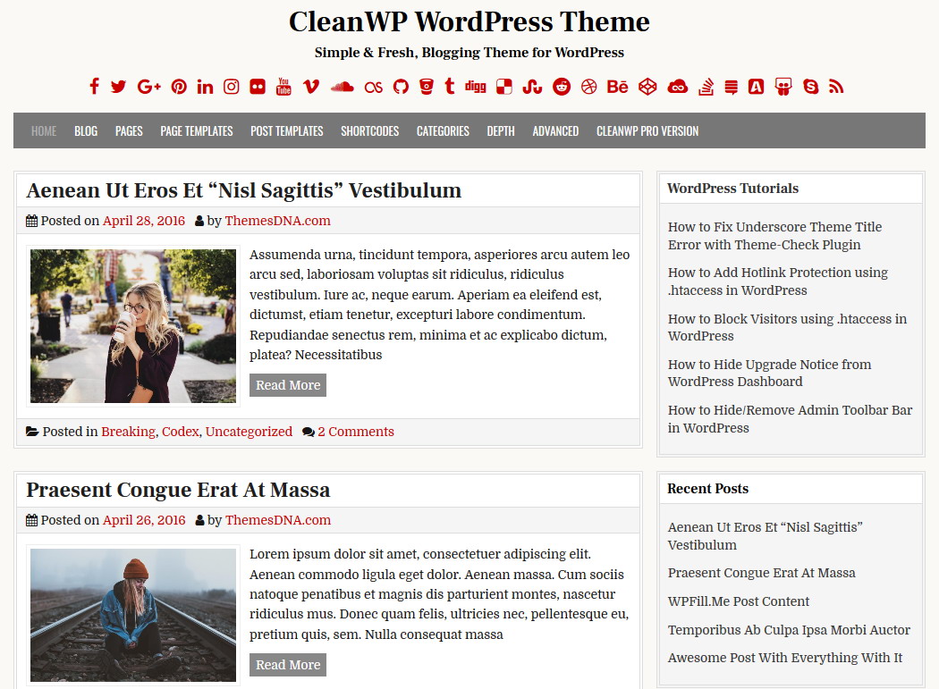 CleanWP – Free Clean WordPress Theme