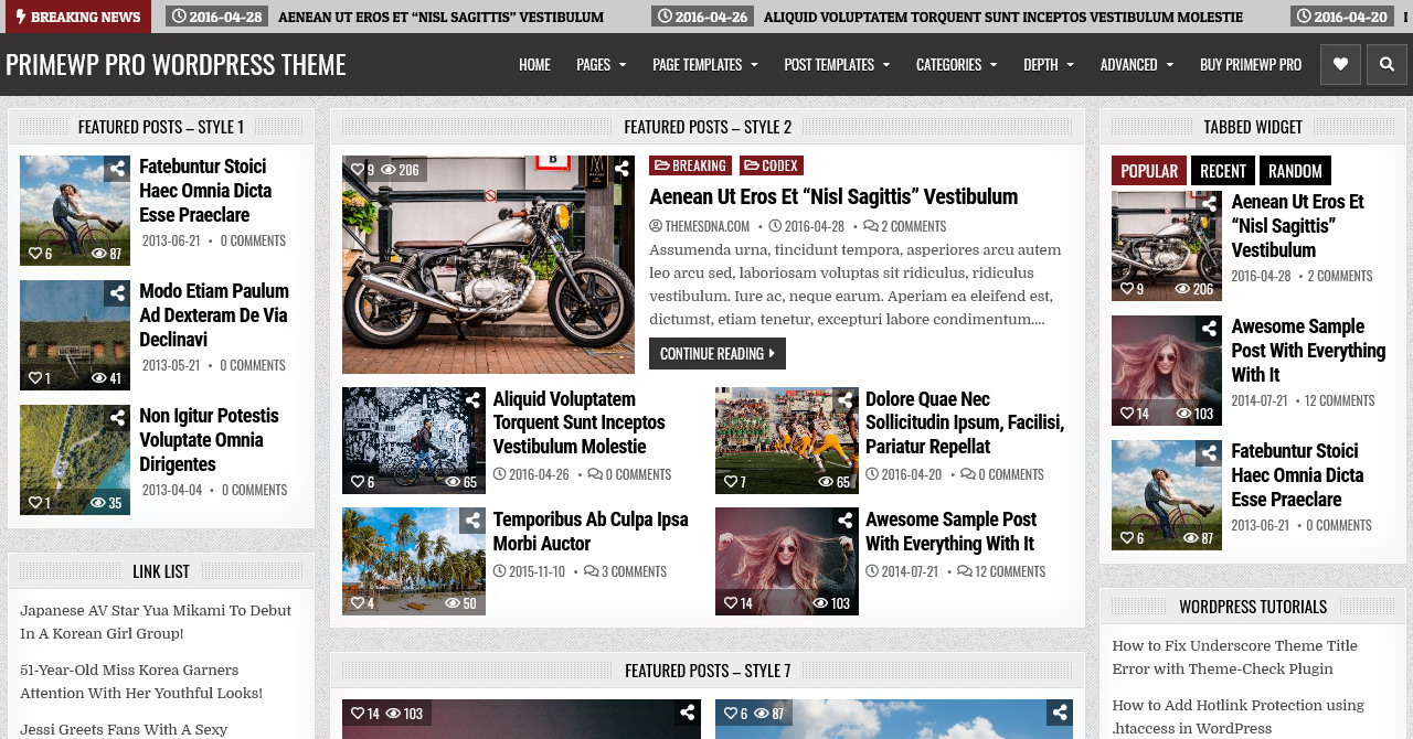 PrimeWP PRO WordPress Theme - ThemesDNA.com