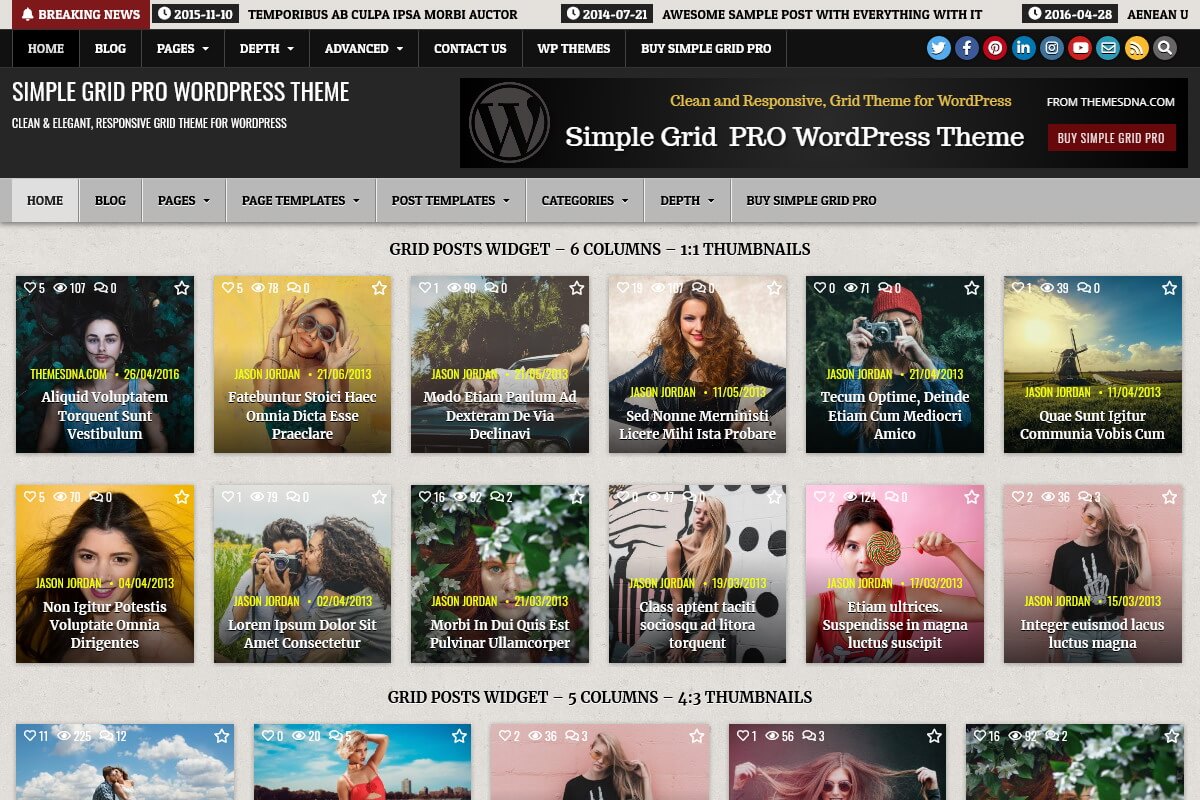 Simple Grid PRO WordPress Theme
