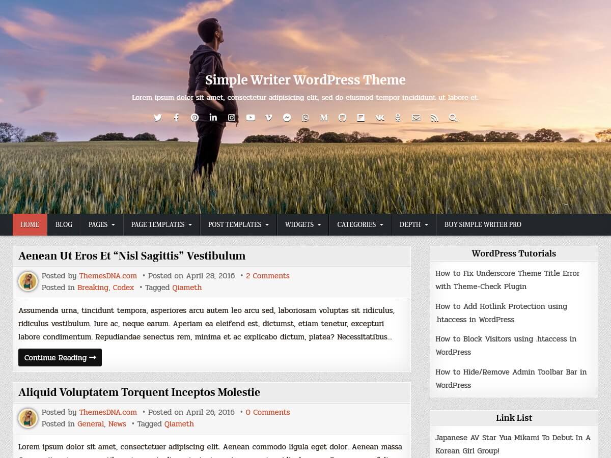 Simple Writer WordPress Theme