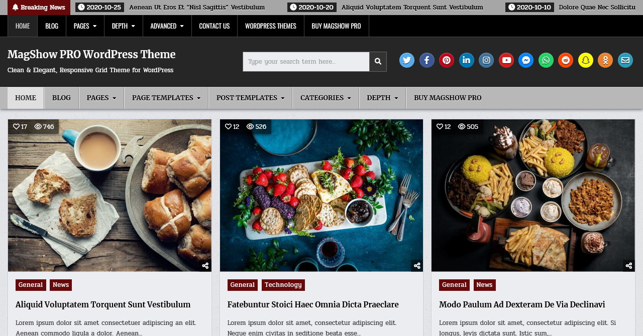 MagShow PRO WordPress Theme - ThemesDNA.com
