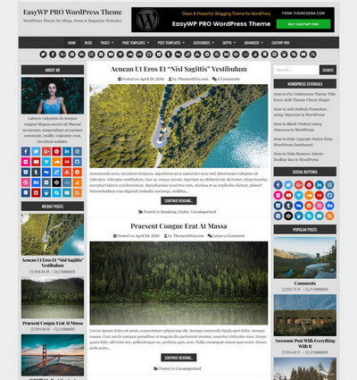 EasyWP PRO WordPress Theme