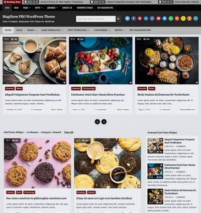 MagShow PRO WordPress Theme